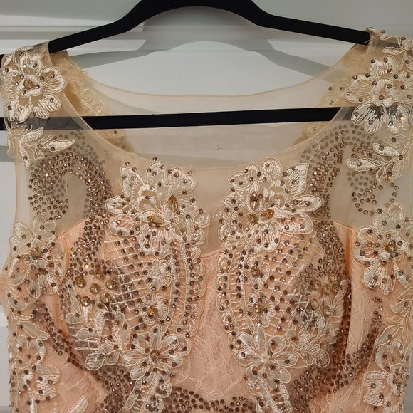 Stunning Peach Lace Gown with Train - Picture 4 of 12